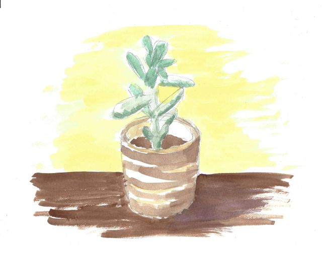 Plant